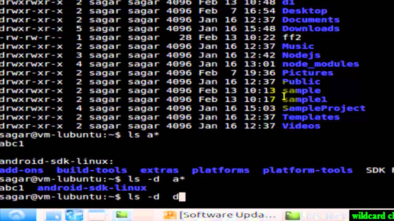 wildcard characters in Linux