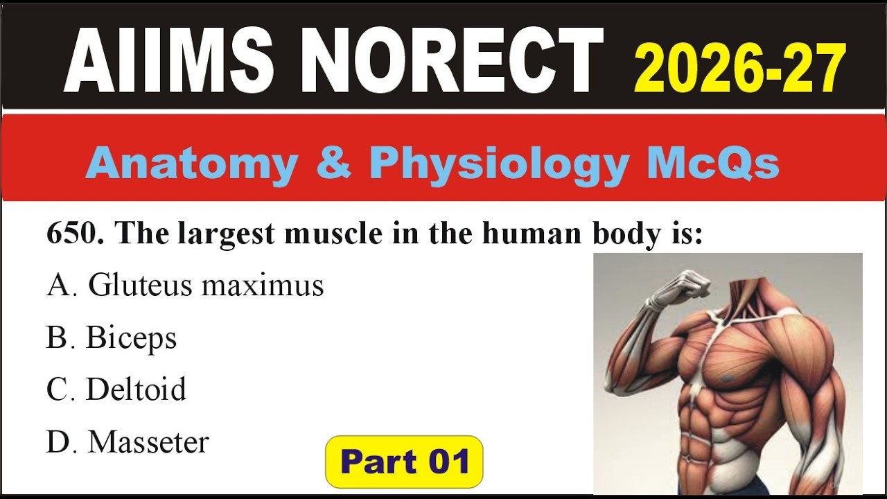 AIIMS NORCET 2026&ndash;27 Anatomy & Physiology MCQs | Top Nursing Exam McQs | NORCET McQs