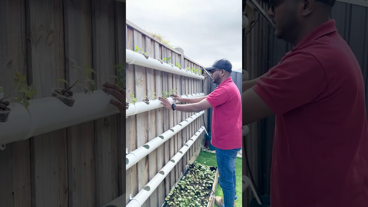 DIY Solar-Powered Hydroponic System Using PVC Pipes! 🌱 | Off-Grid Garden Hack by DIY with Sam