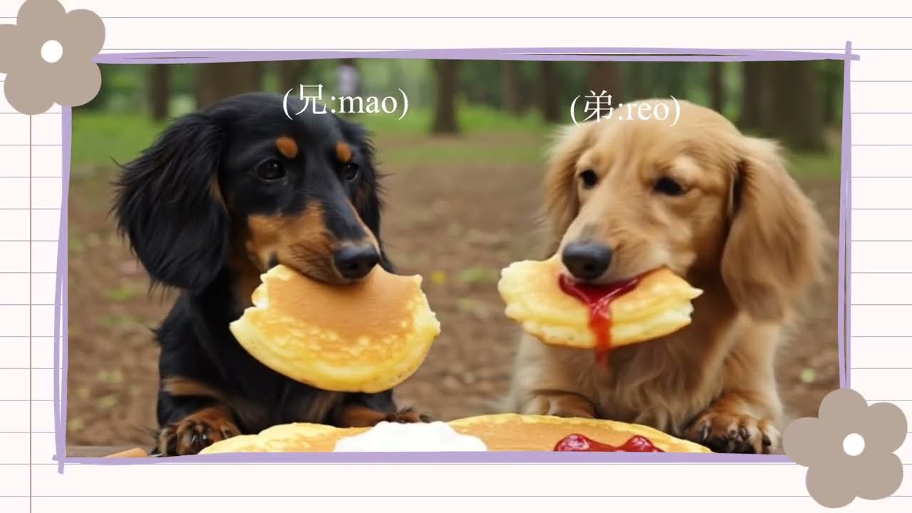 【AI ✖️DOG】ミニチュアダックス| ぐりとぐらにあこがれて、、兄弟犬で作るパンケーキ！、犬たちのカフェタイムが癒しすぎる！まおれおの絵本ぐりとぐらごっこ|絵本に出てくるようなふわふわパンケーキ