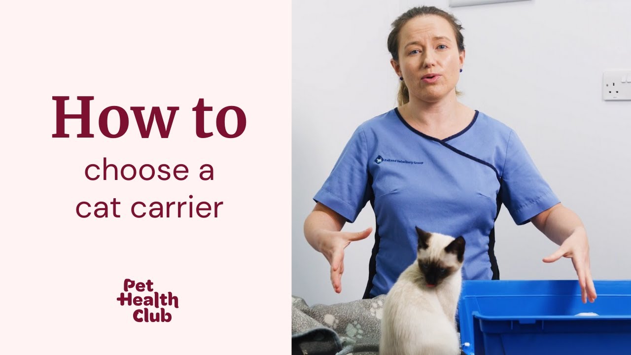 How to choose a SAFE cat carrier | your vet guide