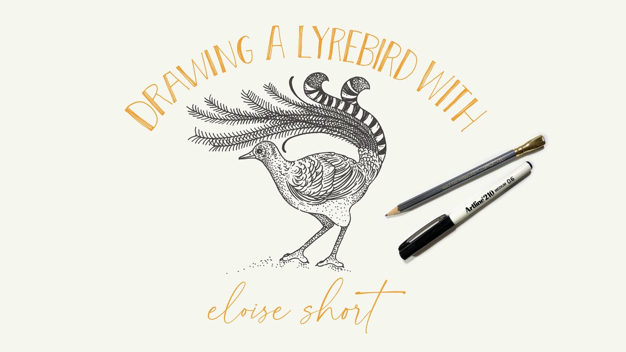 Eloise Short Draws a Lyrebird