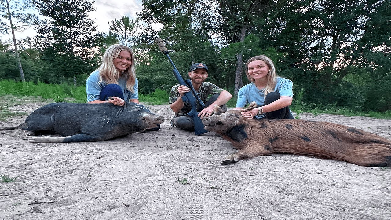 Hog Hunting, Axis Deer and exotic animals! It's a wild life tells all!