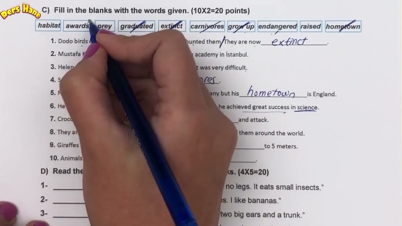 7.Sınıf İngilizce 1.Dönem 2.Yazılı Soruları Açık Uçlu Klasik Yazılı