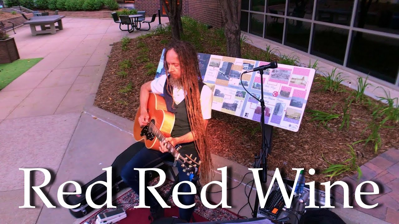 UB40 - Red Red Wine (Instrumental Interpretation) | James Dean Acoustic | Live Looping