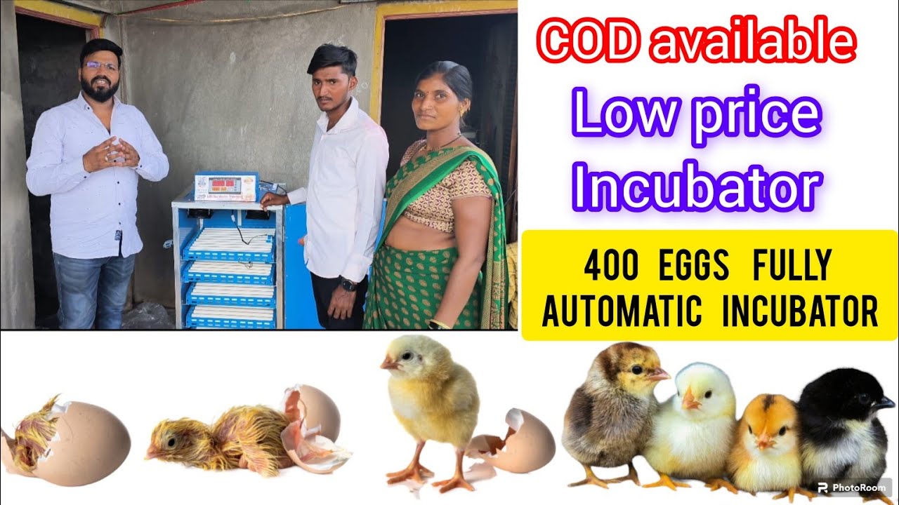 400 Eggs Incubator fully Automatic how to use low price  incubator400 कम कीमत मे चूजे बनानेवाली मशीन
