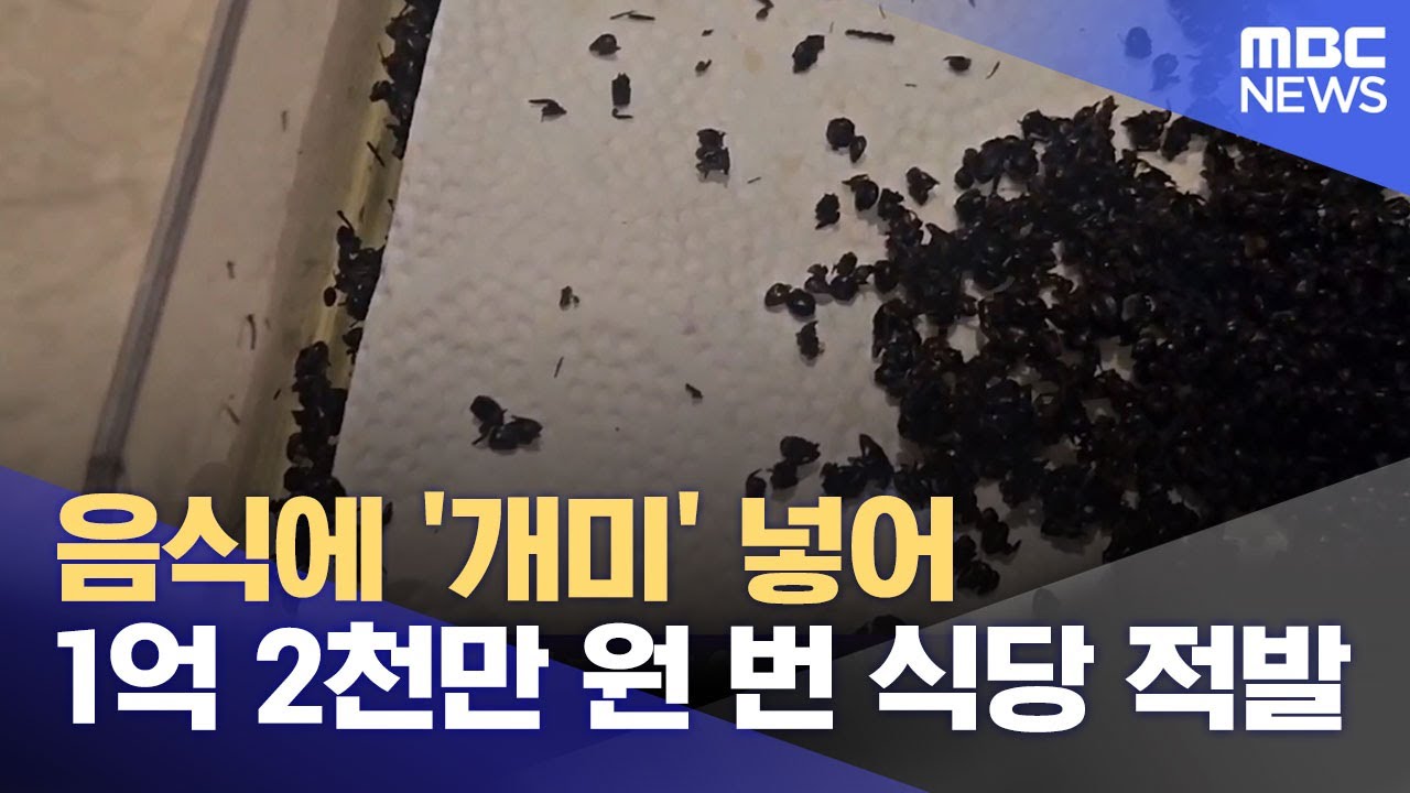 음식에 '개미' 넣어 1억 2천만 원 번 식당 적발 (2025.07.10/뉴스외전/MBC)