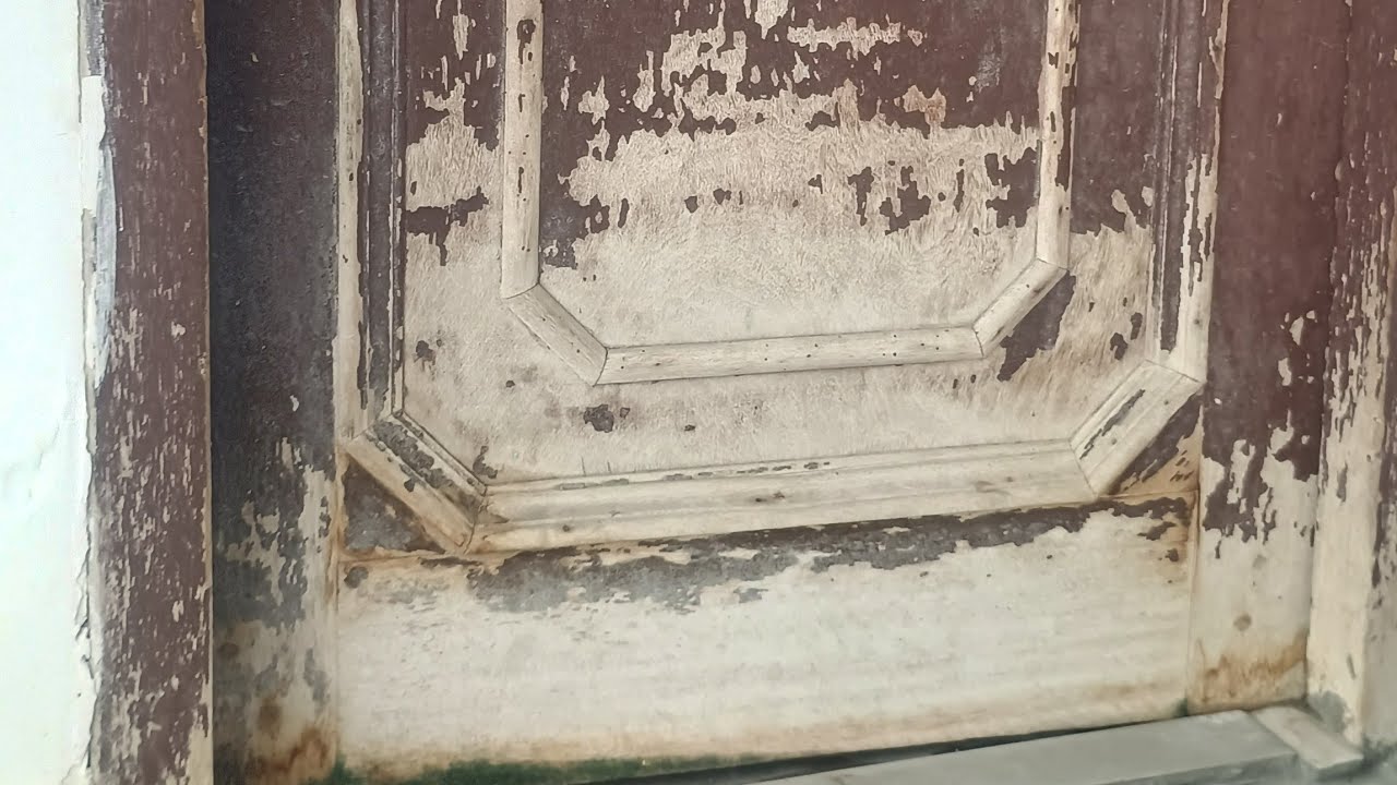 Old door repolish /पुराने दरवाजे पर पॉलिश कैसे करें?