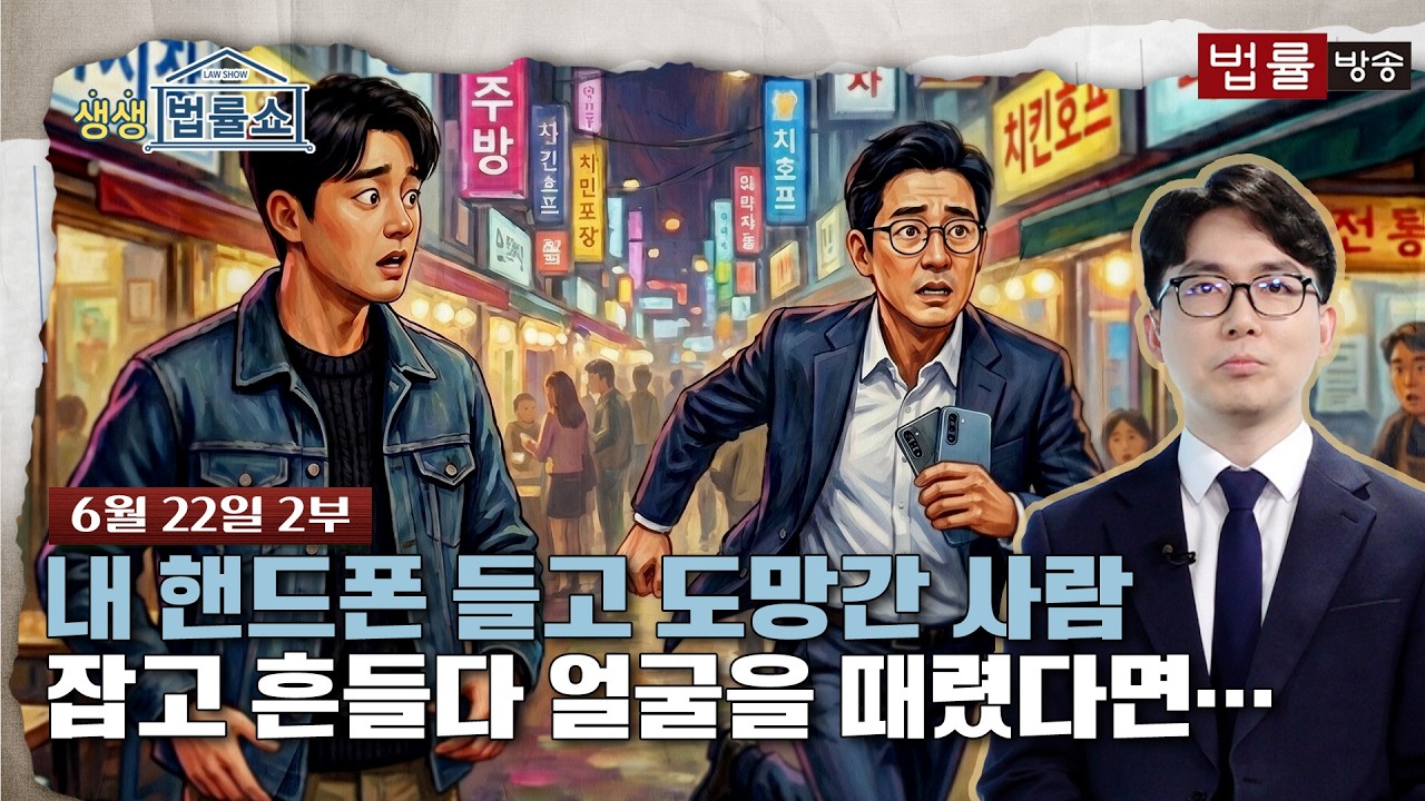 내 핸드폰 들고 도망간 사람 잡고 흔들다 얼굴을 때렸다면&hellip; [생방송 생생법률쇼]