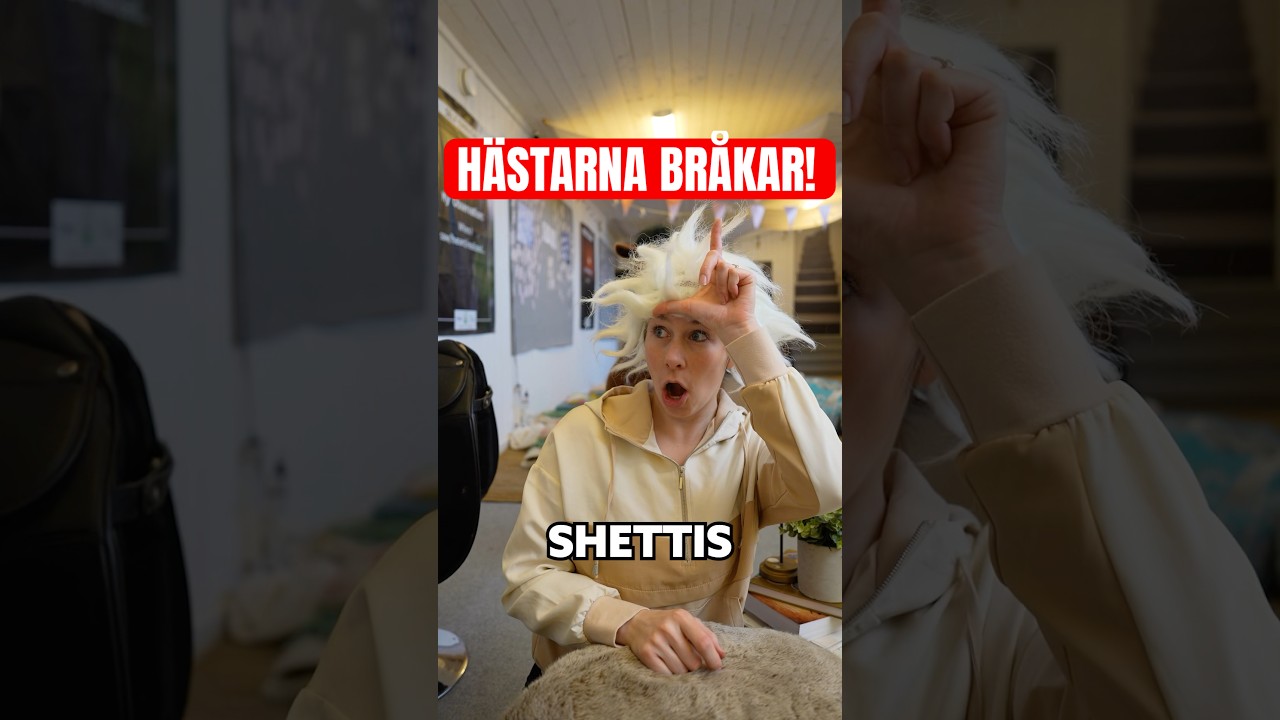 Om hästar hade möten, del 5😂🐴 