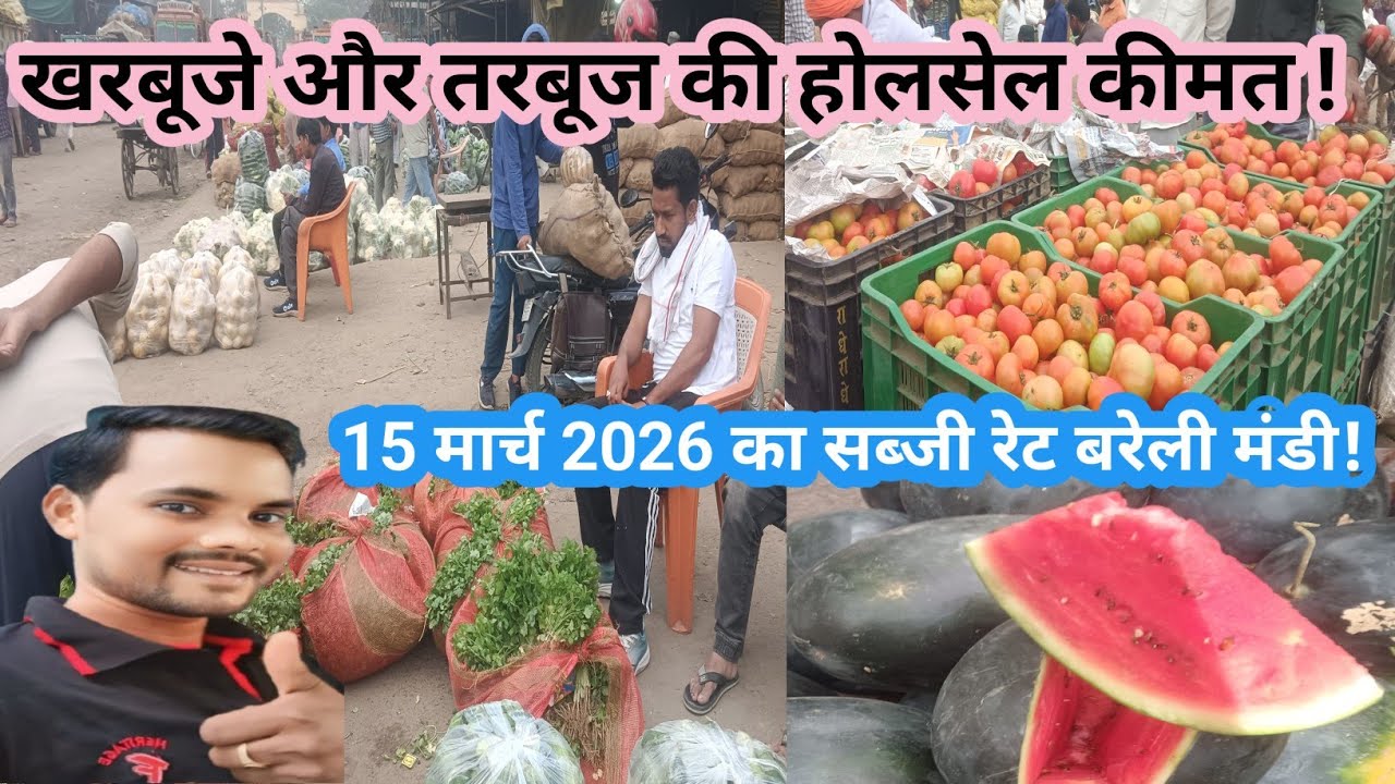 खरबूज तरबूज का थोक रेट क्या है बरेली मंडी!! आज का थोक सब्जी रेट!!