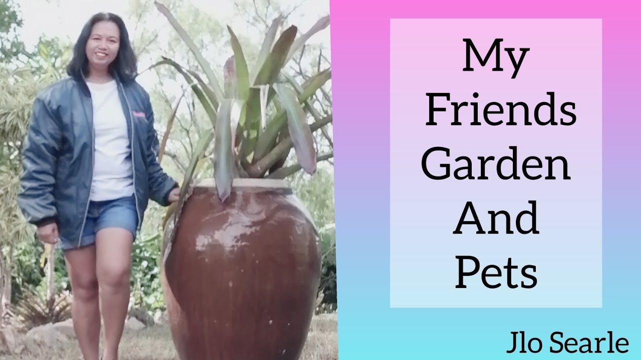 My Friends Garden and Pets/Garden and Backyard View/Pinay Living In Australia || Jlo Searle