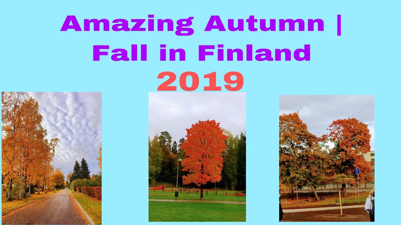 Amazing Autumn in Finland | Fall  Season in Finland