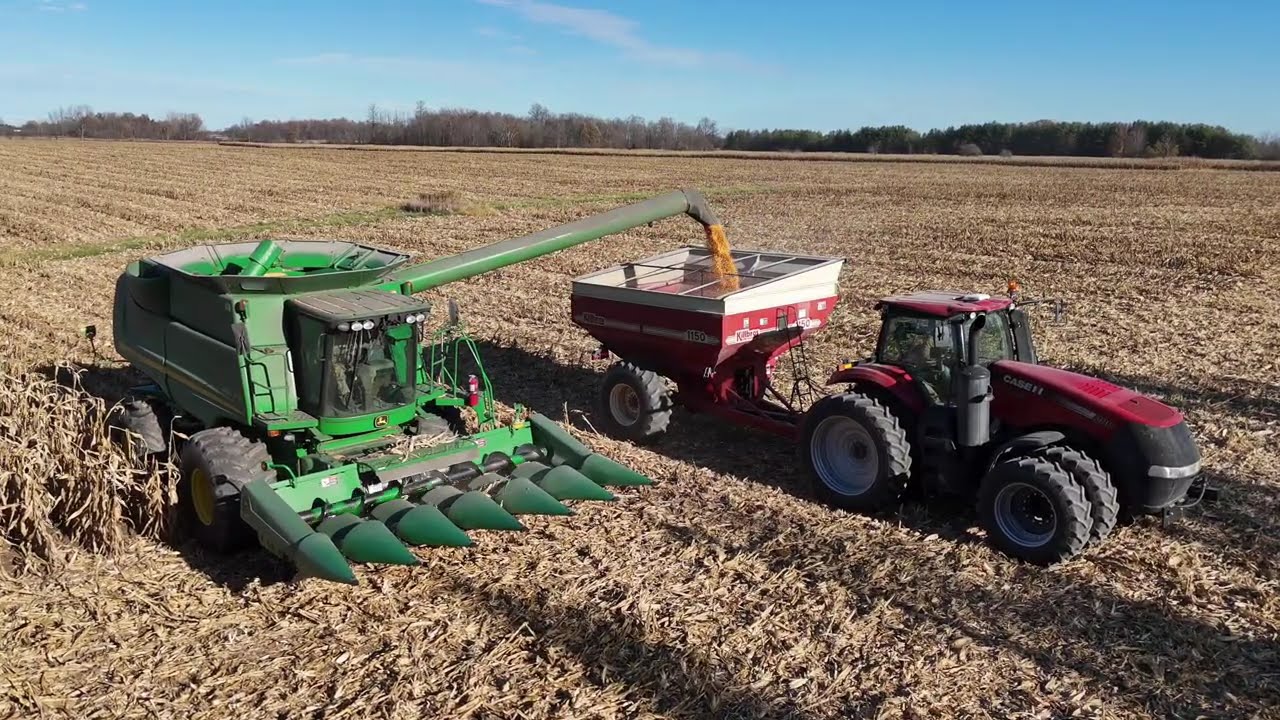 MacTavish Farms Corn Harvest 25' #farming #farmer #farmvideos #canada #johndeere #caseih #combine 