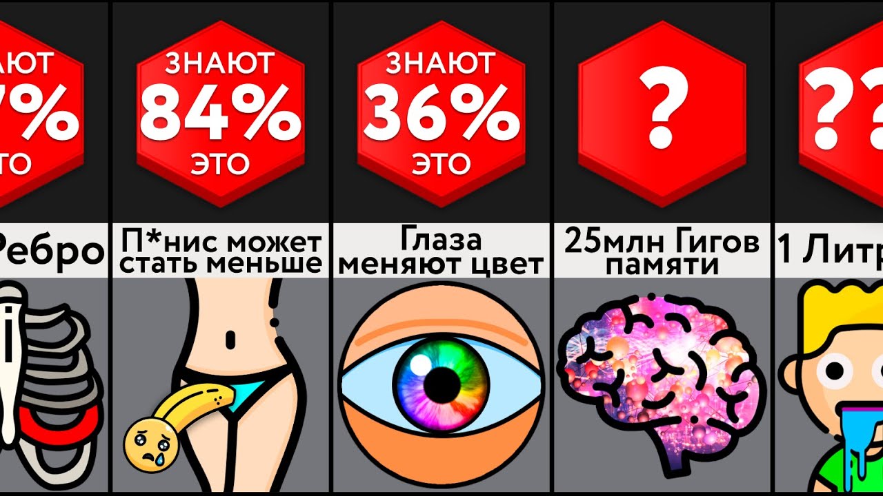 Удивительные Факты О Вашем Теле