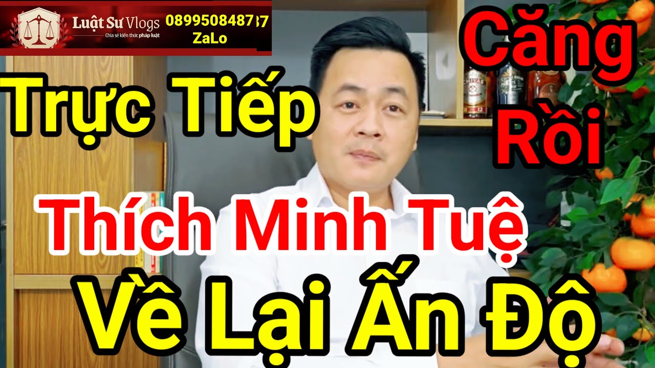 🔴 Th&iacute;ch Minh Tuệ Mất T&iacute;ch L&agrave; Về Ấn Độ | Luật Sư Vlogs