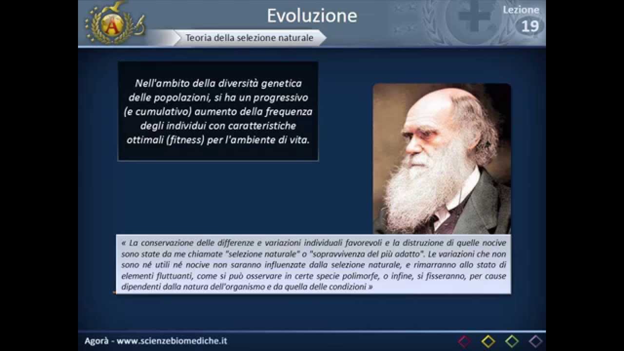 Evoluzione (parte 1)