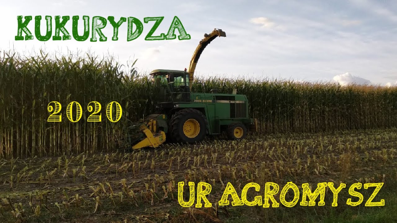 Kukurydza na Kurpiach 2020! UR Agromysz w GR Szczepanek | John Deere 6710