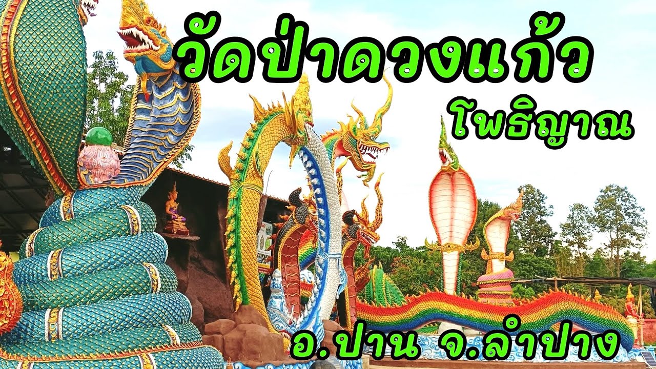 ถ่ำพญานาคลำปาง วัดป่าดวงแก้วโพธิญาณ#โชคลาภ #สายมู 