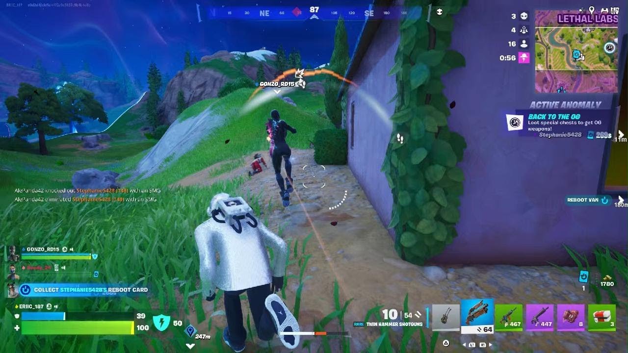 Fortnite Win 45