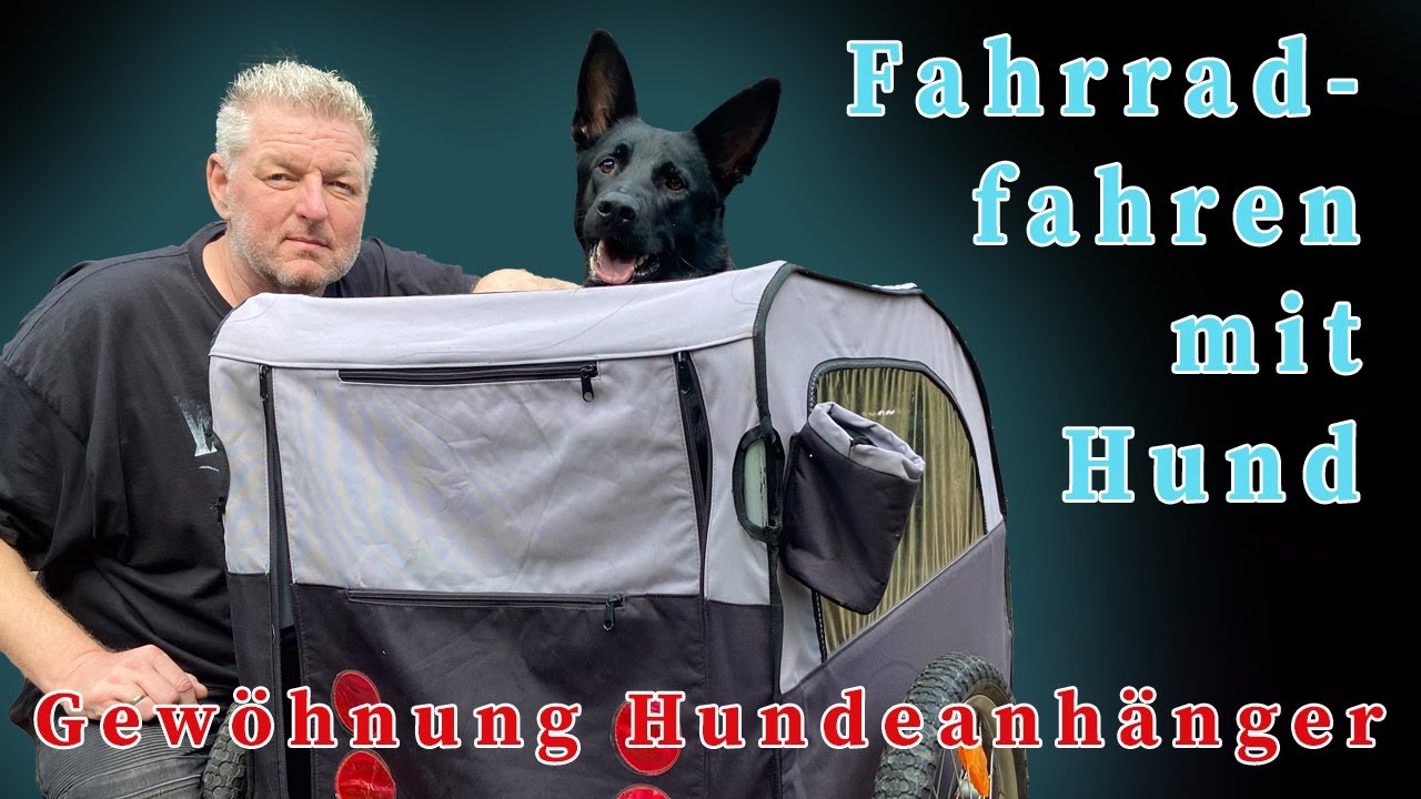 Fahrradfahren mit Hund - Gewöhnung an den Fahrradanhänger