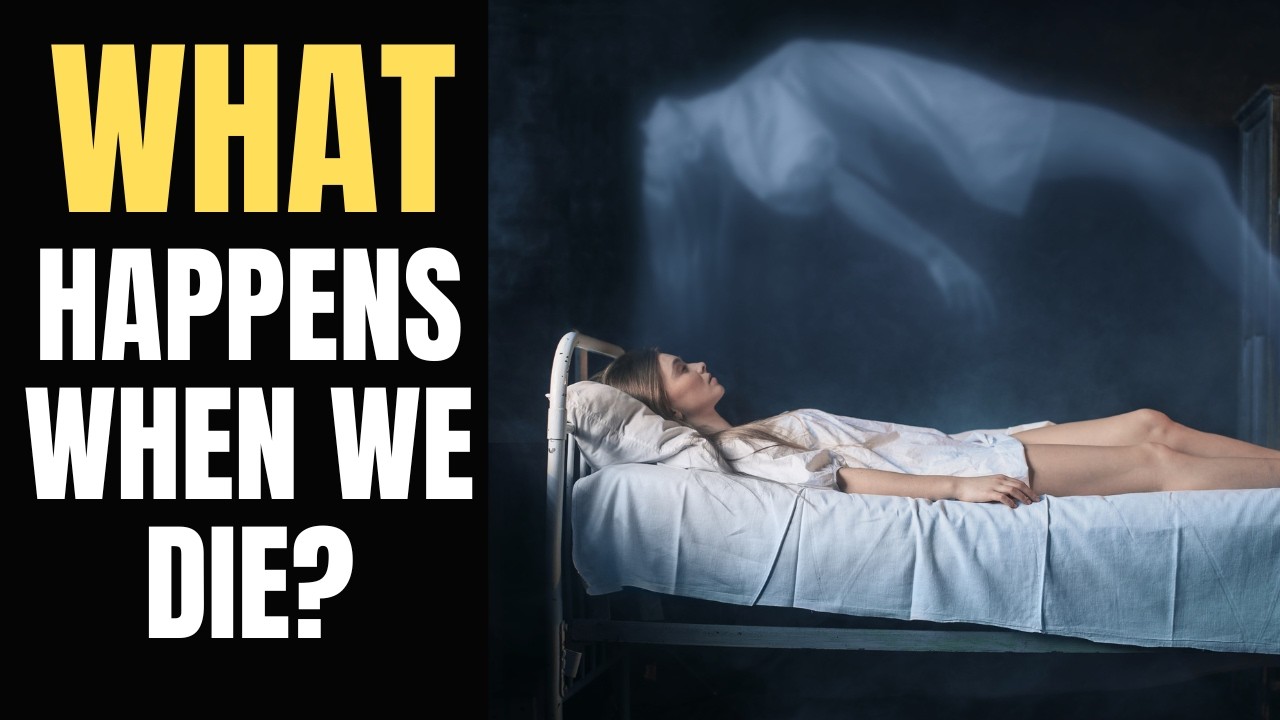 What Happens When You Die? Christianne Van Wijk Interview