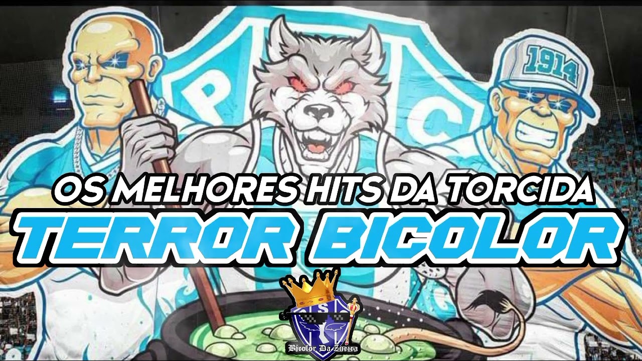 OS MELHORES HITS DA TERROR BICOLOR☠️ ⚪️🔵  #paysandu #serieb #pap&atilde;otv #terrorbicolor
