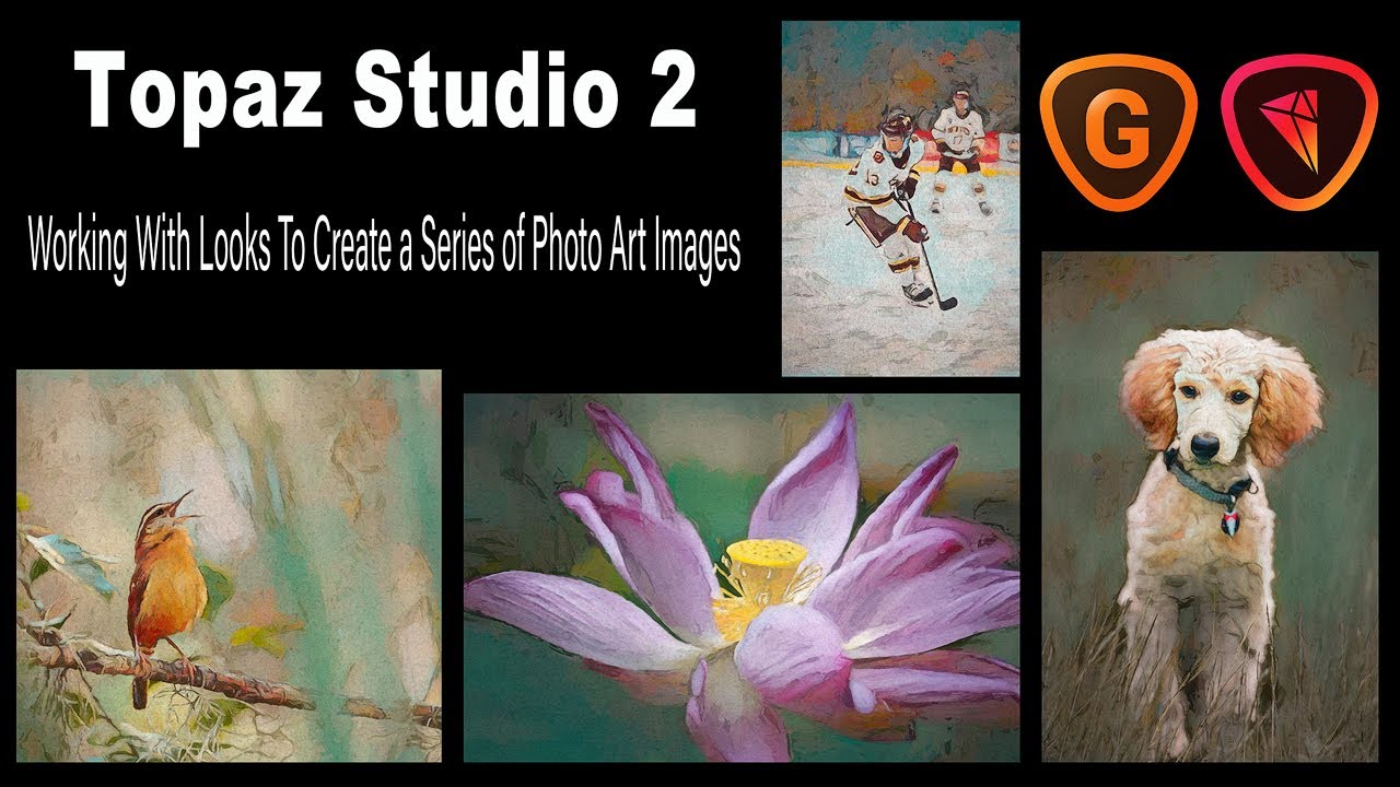 TOPAZ STUDIO  2//Using LOOKS to Create a Series of Photo Art//Plus UpSizing Photo Art (GigaPixel Ai)