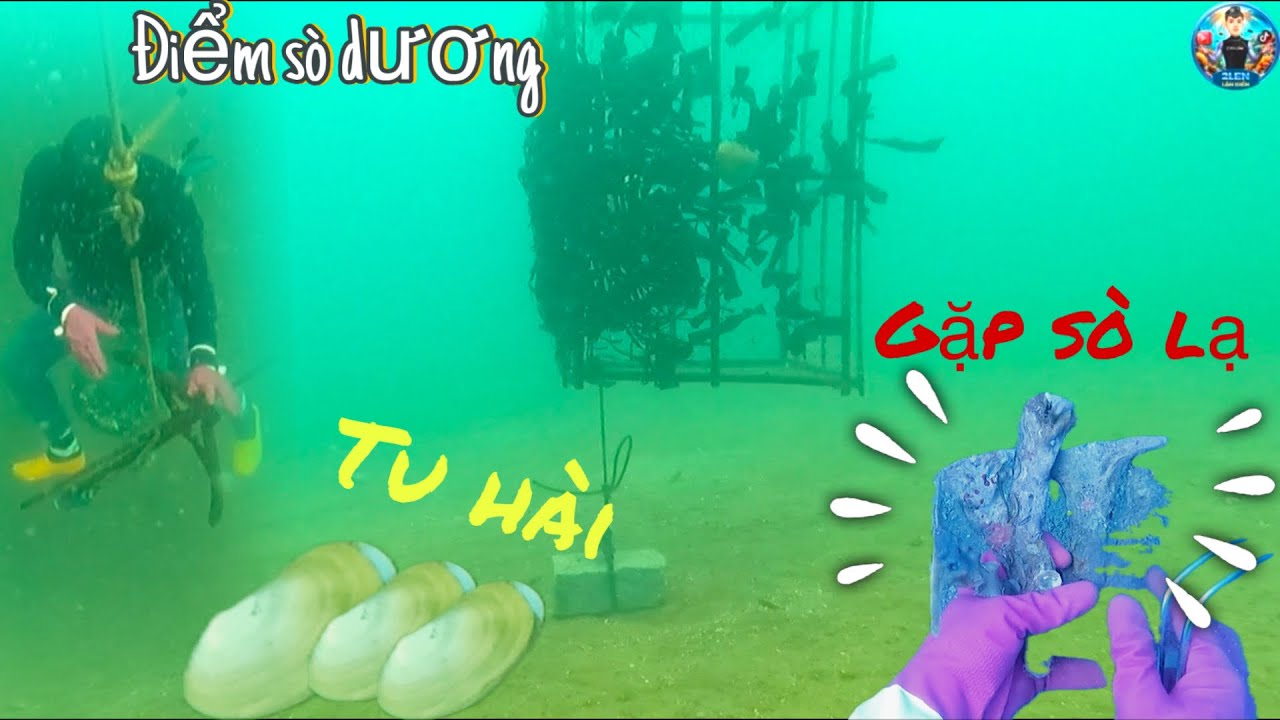 Lặn Biển Gặp Được Sò Lạ Và Nhiều Hải Sản Khác Khi Lặn Ở Điểm Sò Dương. ( vlog lặn biển 4 ).