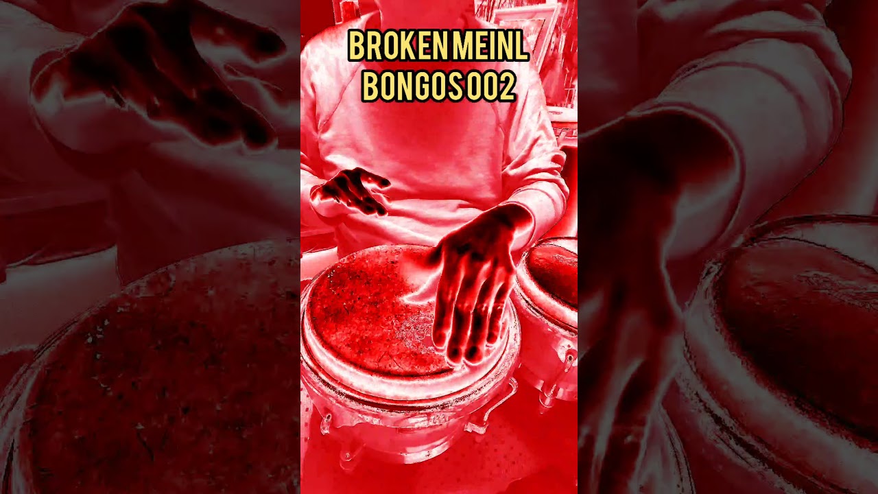 Broken MEINL Bongos 002#percussion #percussionist #conga #bongo #djembe #drum