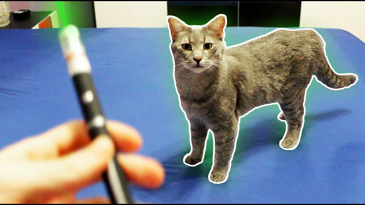КОТКАТА ПОЛУДЯ ПО ТОЗИ МОЩЕН ЗЕЛЕН ЛАЗЕР 😹