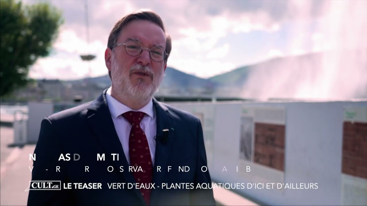 Verts d'eaux, exposition d'été hors nos murs