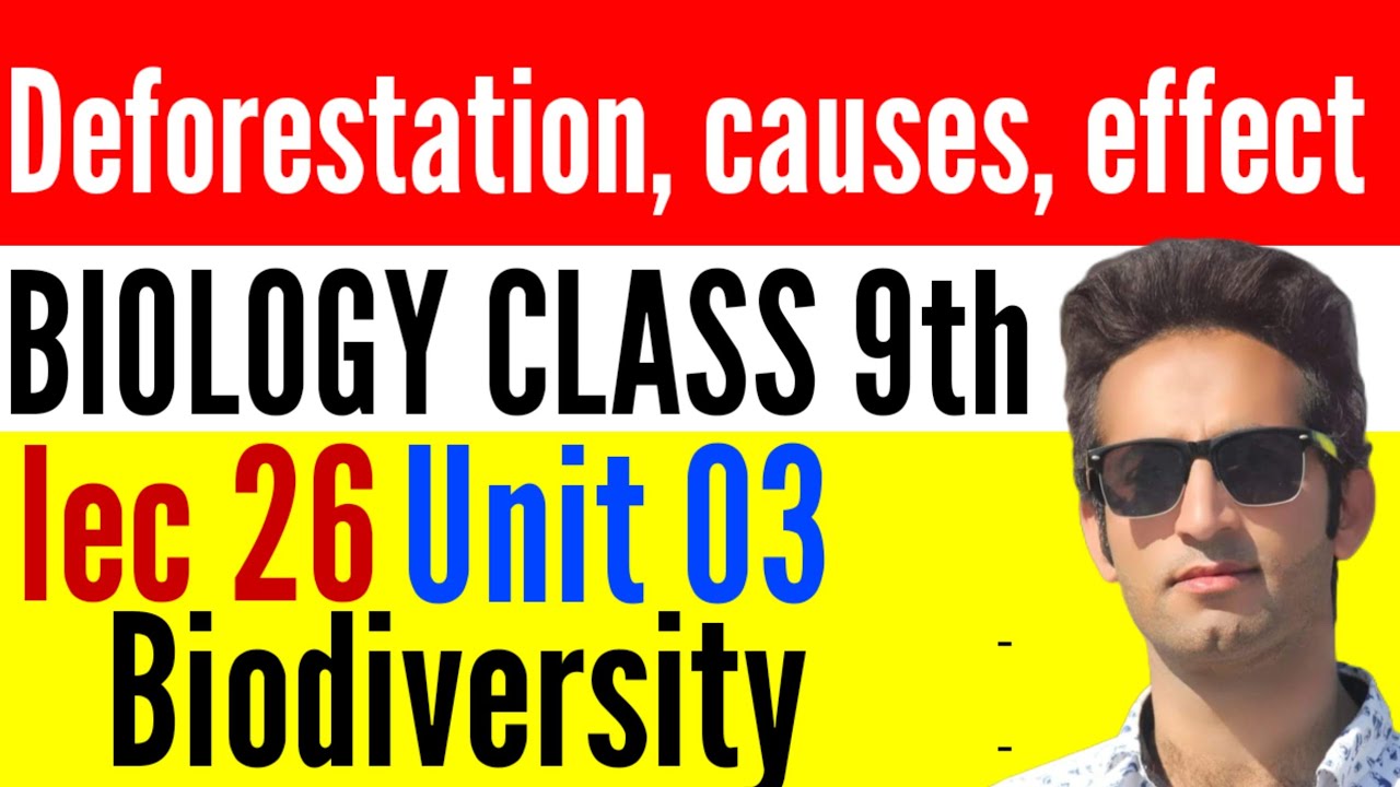 Deforestation, causes, effect |Biology class 9th | Chapter 03 Biodiversity | Lec_26 in Pashto 