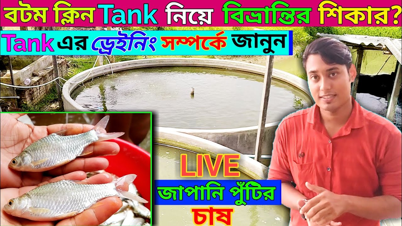 Bottom clean fish farming|Tank এর Draining System এবং লাইভ জাপানি পুঁটি চাষ|The Roshik Bangali