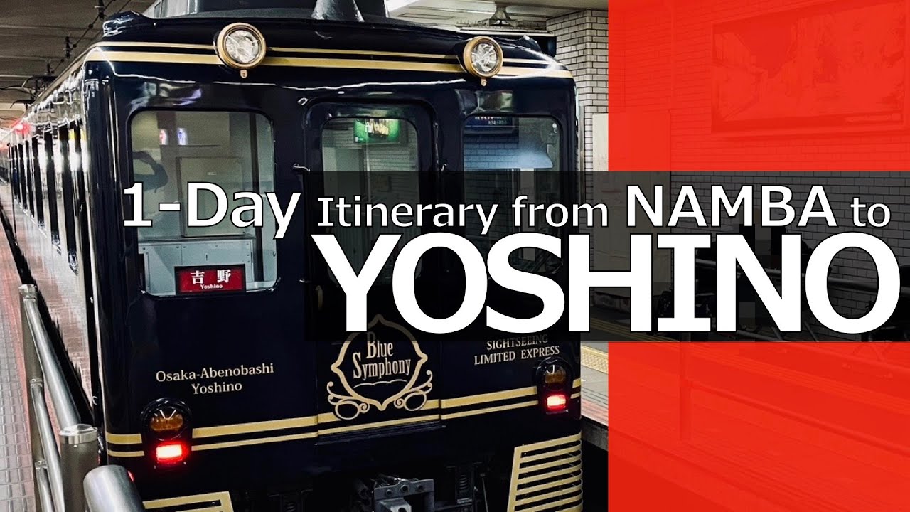 Yoshino 1-day Itinerary │ Blue Symphony - Limited Express Sightseeing Train