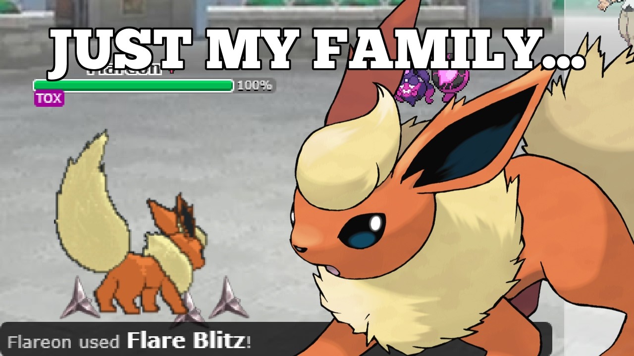 We used ONLY EEVEELUTIONS in Almost Any Ability and it ACTUALLY WORKED!