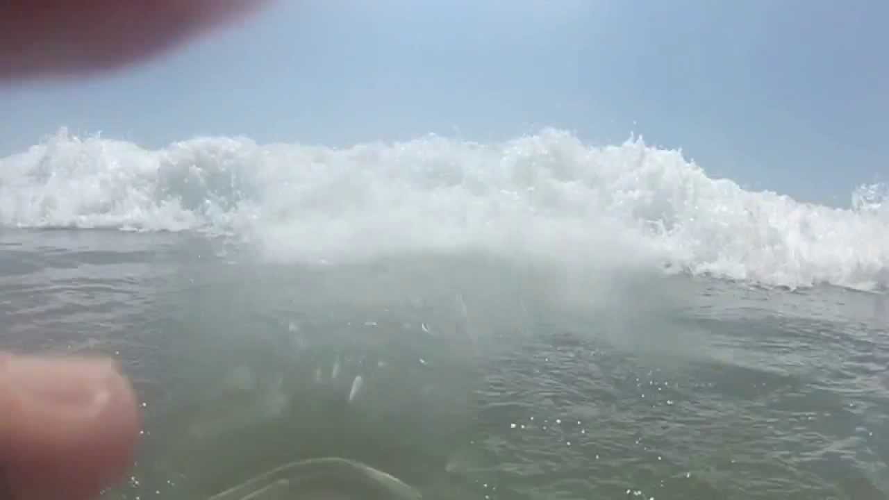 WAVE HUNTERS - Trailer