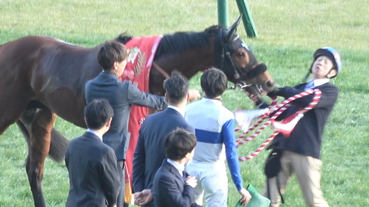 【口取り 表彰式】2026 G3 根岸ステークス 荒ぶるロードフォンス 横山 和生 【東京競馬場】