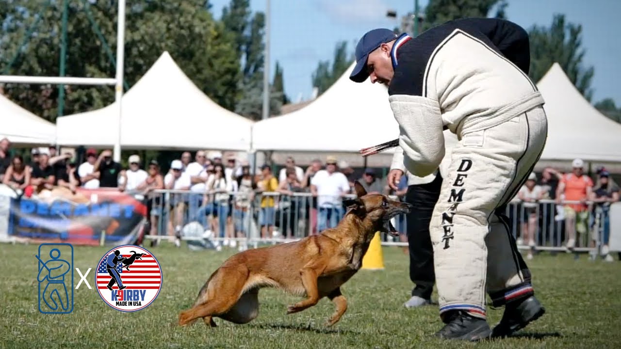 Demanet Bite Suits at the 2024 French Ring Championship Final