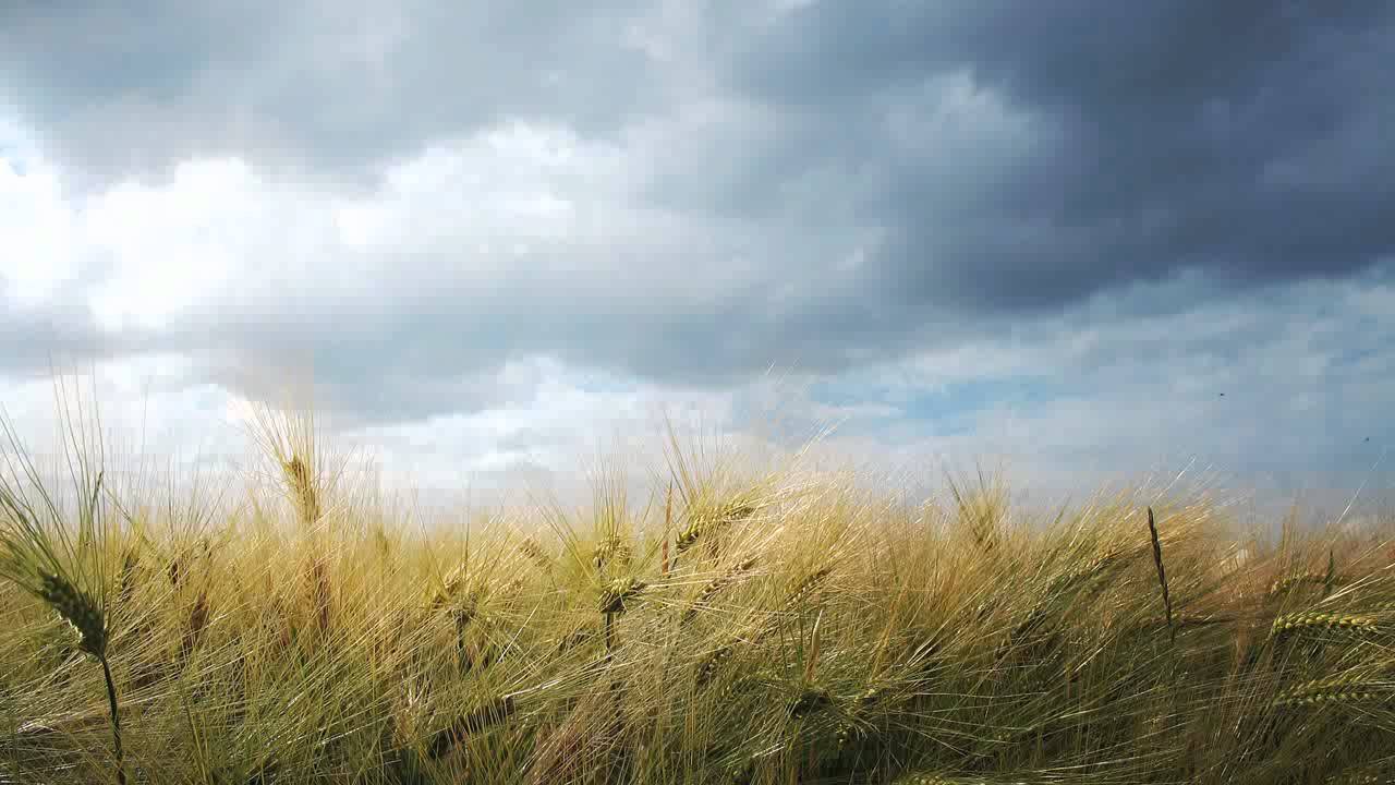 ZiRENZ VS Ben Alonzi & Adriz - Take Me To Heaven (Mindful Innovations Remix)