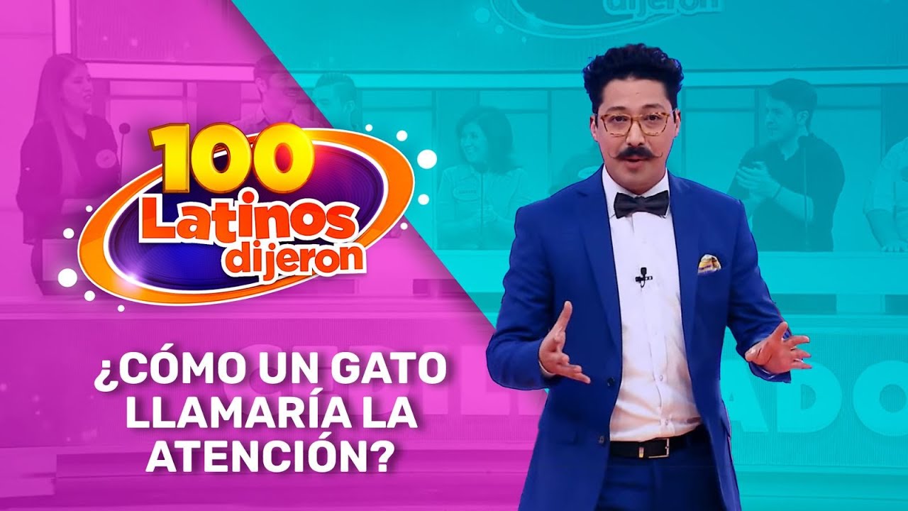 ¿Cómo Un Gato Llamaría La Atención? | 100 Latinos Dijeron