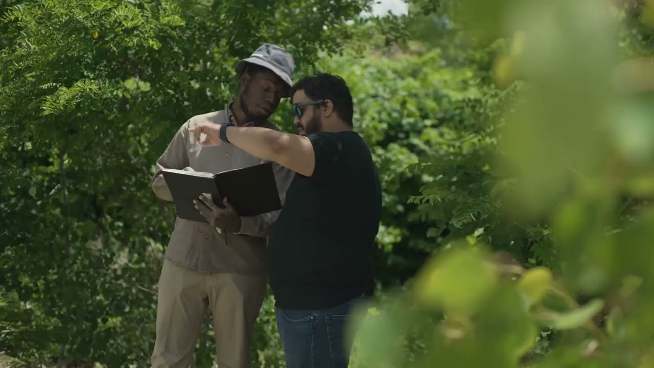 The Elusive Skunk Ape: Florida's Bigfoot #floridabigfoot #sarasota #paranormal #mystery