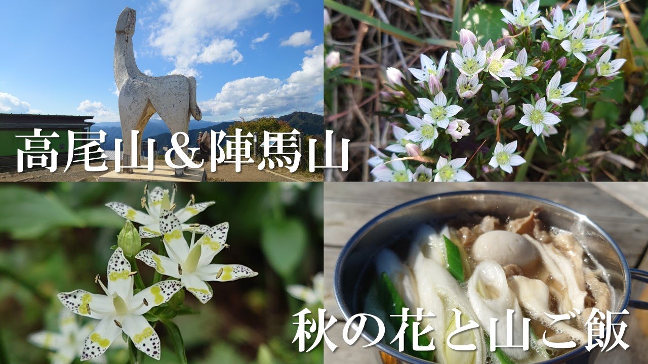 【高尾山＆陣馬山】秋の花と山ご飯を楽しむ低山縦走（2023/10/21）