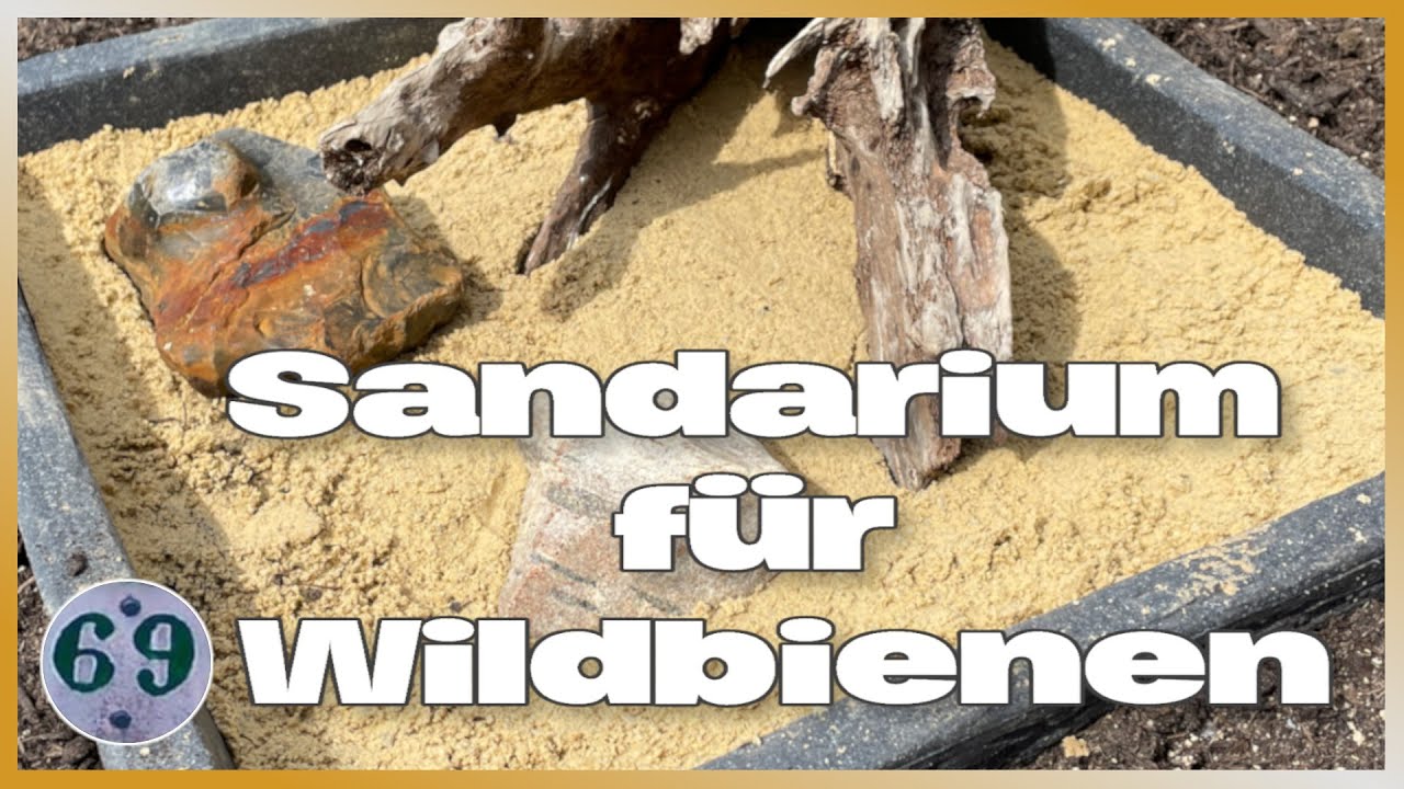 Ein Sandarium für die Wildbienen 🐝  DIY Nisthilfe für  bodenbrütige Bienen