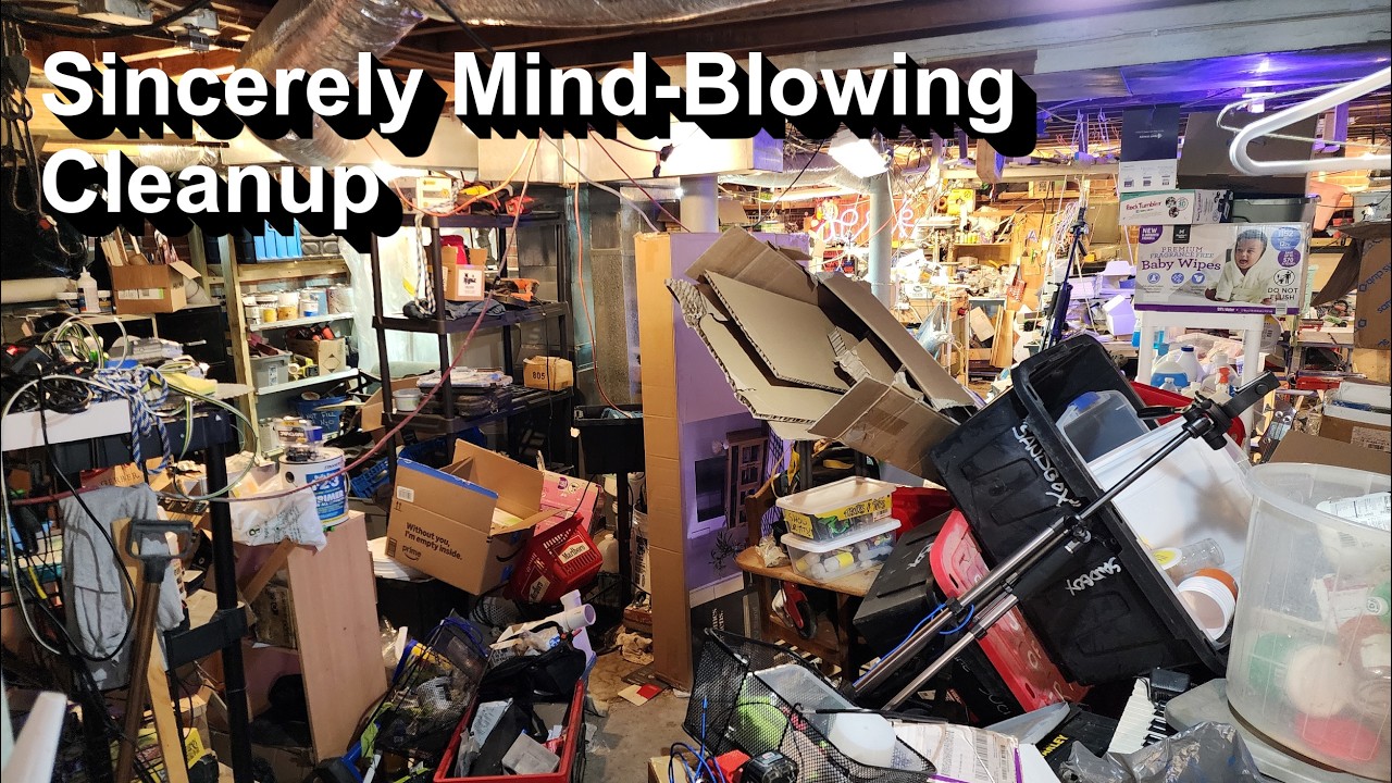 Sincerely, the Craziest Basement Declutter You'll Ever See