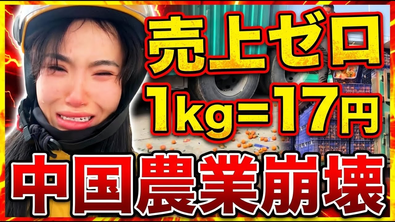 中国経済「売れない」の悲鳴──みかん1kg17円でも買い手なし、100万軒閉店、農家は泣いている