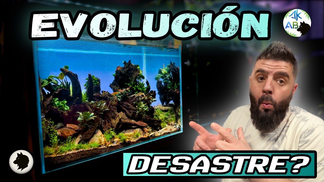 Evolución del primes mes ¿éxito o desastre? 📌 EL Factor Invisible.