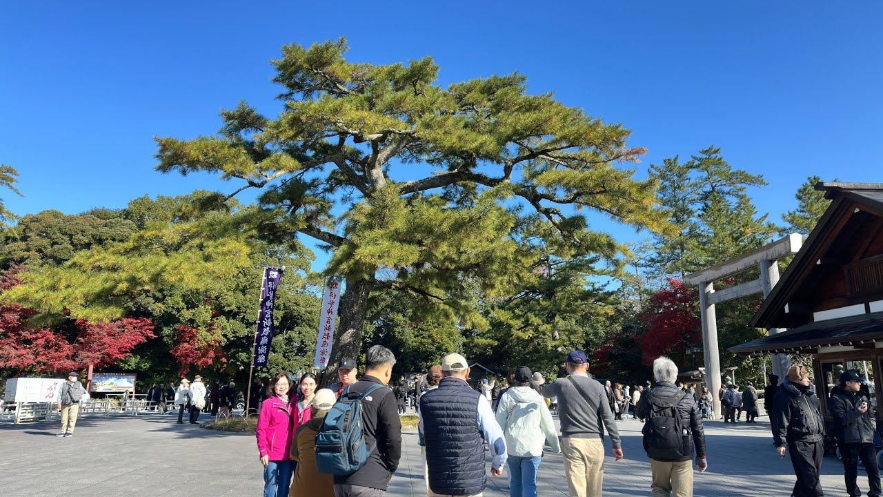 伊勢神宮/懷古街道漫遊  #日本20251126南紀和歌山七日遊 #旅行 #伊勢志摩 #和歌山 #南紀 #日本風情