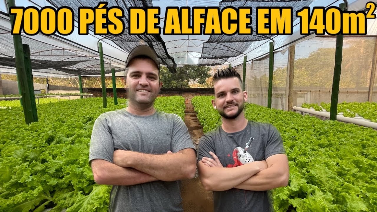 EM PEQUENO ESPA&Ccedil;O ELELES PRODUZEM MUITO - @hortadobizzi