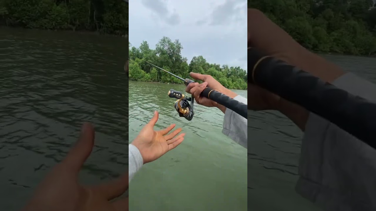 Mancing Casting di muara menggunakan Lure Minnow 6.5G #shorts #mancing #fishing
